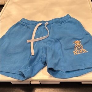 Nike Men's Blue Shorts